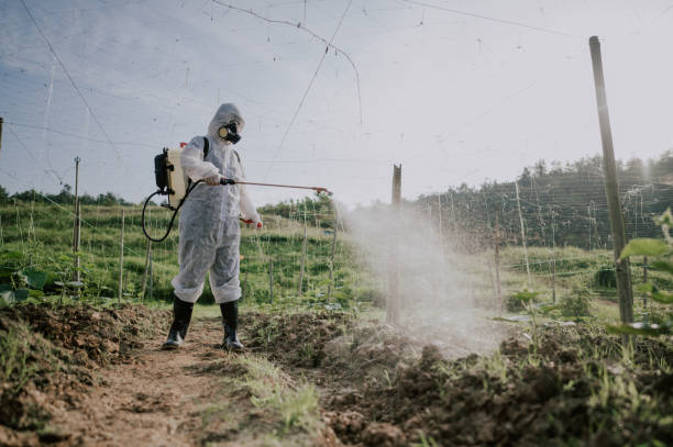 Best Mosquito Control Services  in Clarksdale, MS