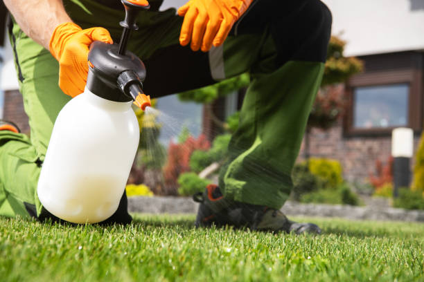 Best Residential Pest Control  in Clarksdale, MS